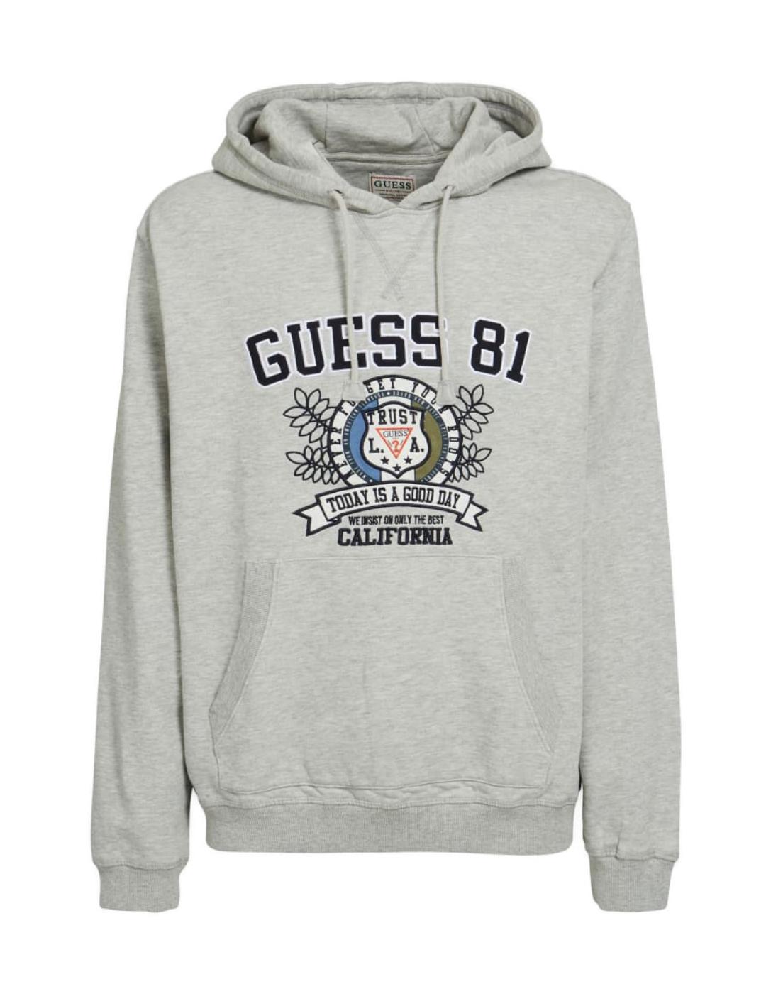 Sudadera Guess Spencer gris para hombre-z