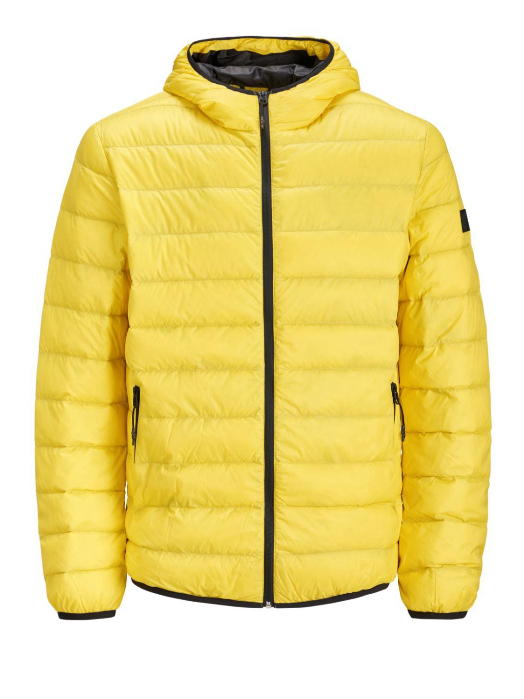 JCOTOKYO LIGHT DOWN JACKET-V