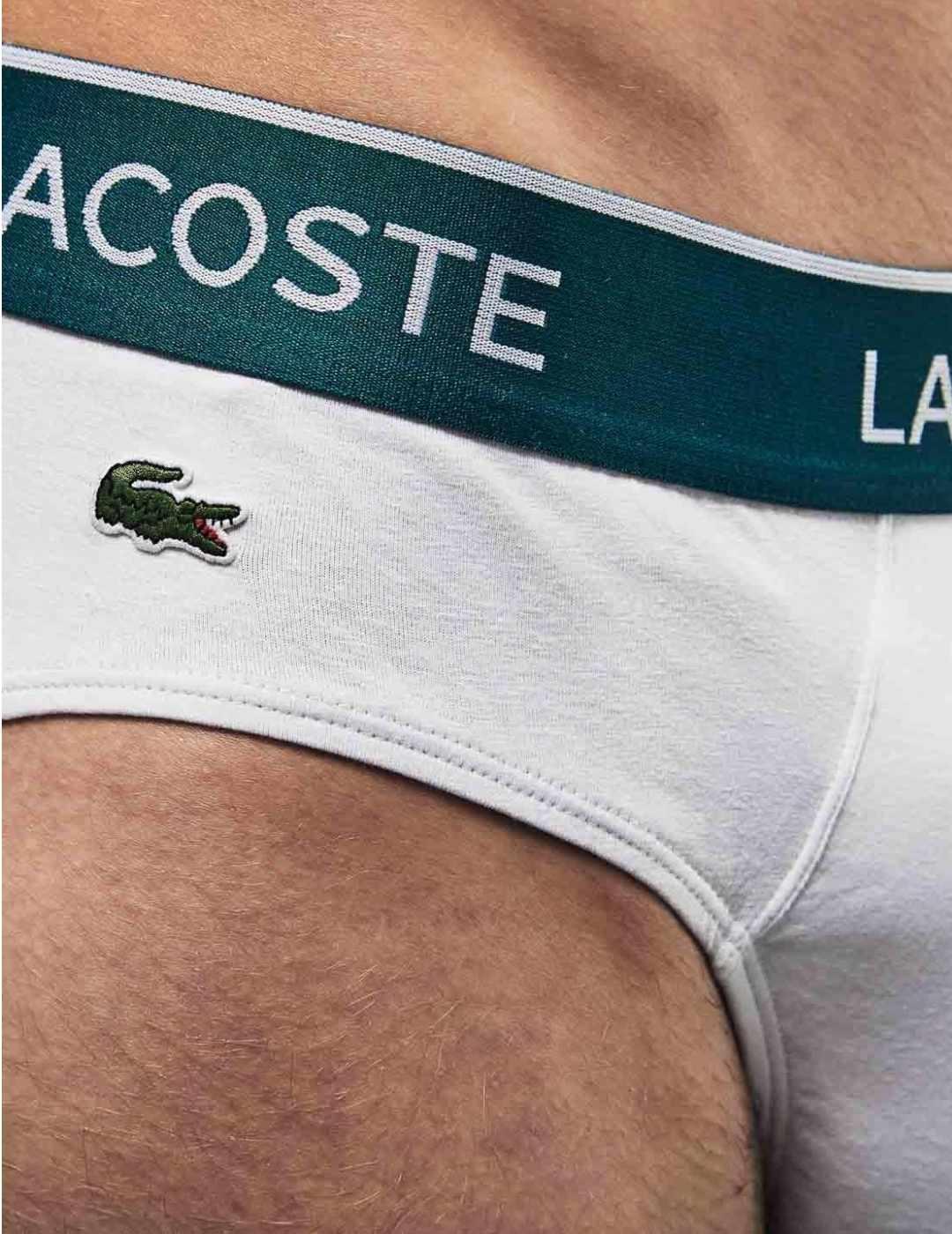 Pack Lacoste de 3 brief de hombre-b