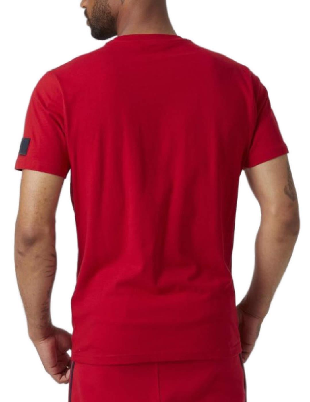 Camiseta Helly Hansen Graphic rojo para hombre-b