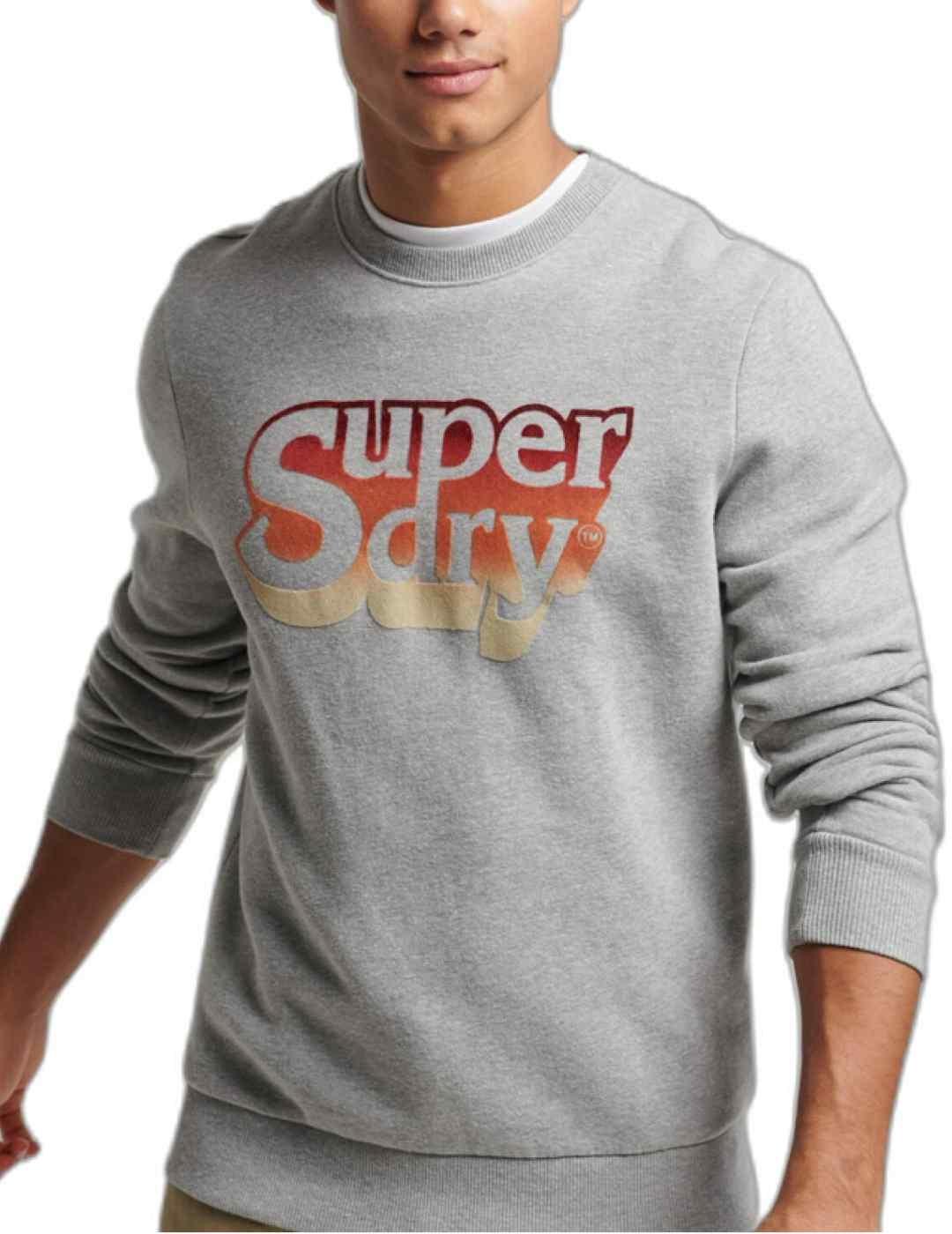 Sudadera Superdry Shadow gris con serigrafía para hombre