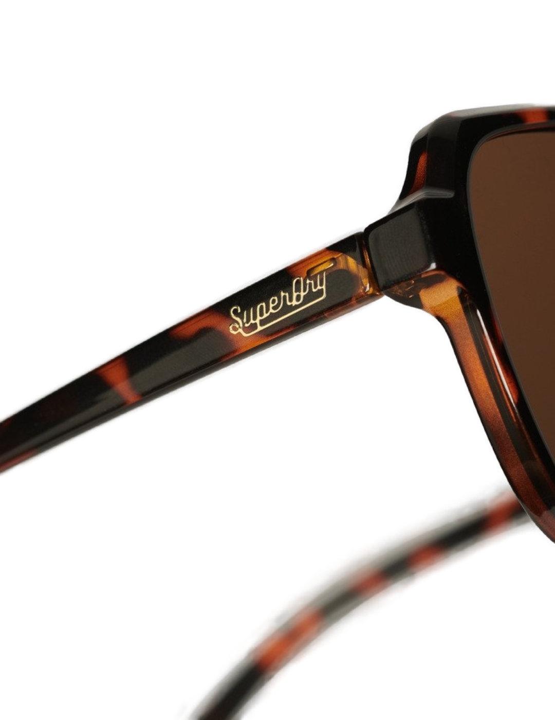 Gafas Superdry Oversized marrones de pasta para mujer