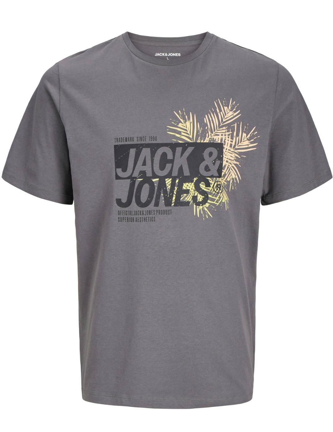 Camiseta Jack&Jones Jason gris oscuro manga corta de hombre